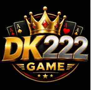 DK222 Game
